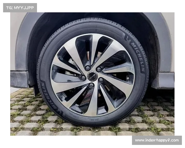 轮胎管理成卡塔尔站分水岭：硬胎策略VS软胎冲刺