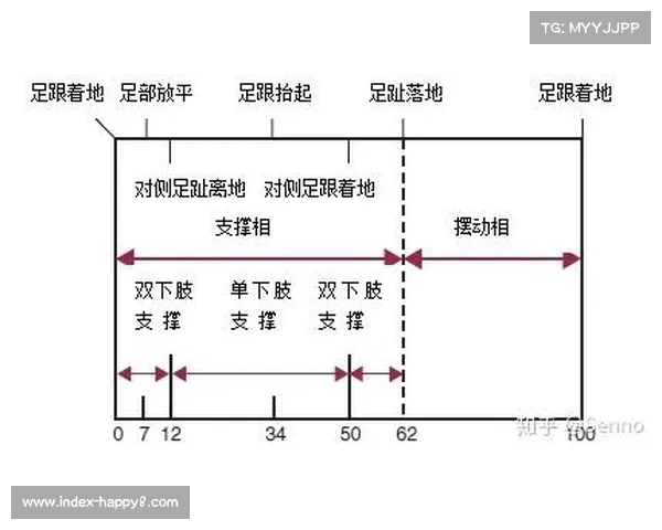 运动生物力学数据库开放加速体育科技创新周期
